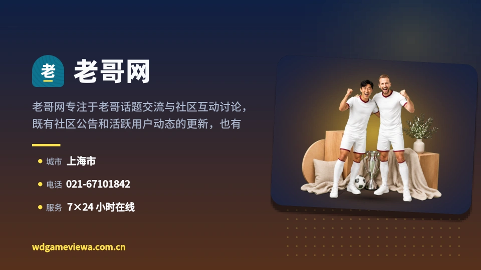 老哥网概况